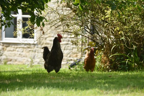 Sundey Hill Farm