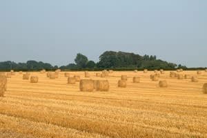 Greenhills Farm