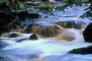 Hareshaw Linn