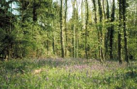 Itchen Valley Country Park