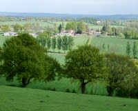 High Meadow Farm