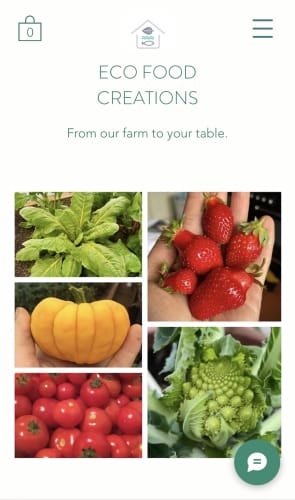 Eco Food Creations