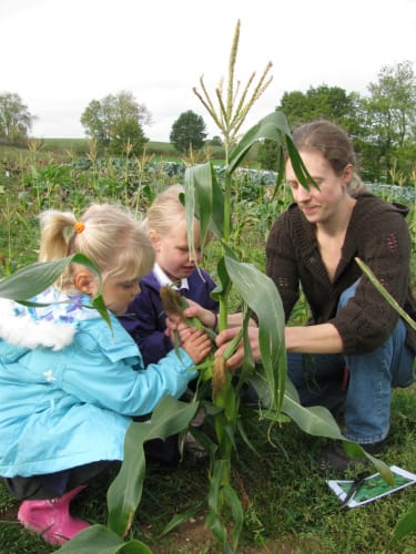 Canalside Community Food