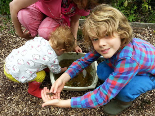 Riverside Community Garden