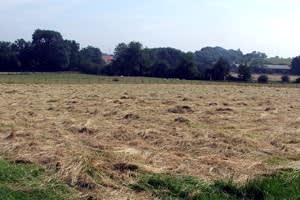 Poundgreen Common