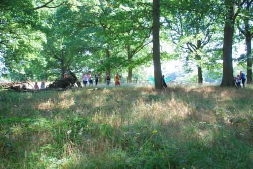 Wyre Community Land Trust