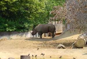London Zoo and Millennium Conservation Centre