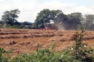 Stanley's Farm