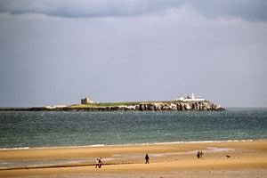 Farne Islands
