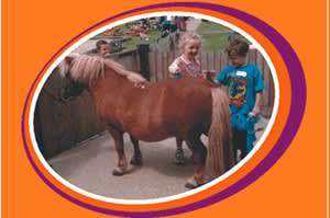 Mead Open Farm