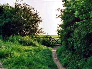 Mudchute Park and Farm