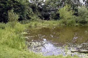 Sparsholt Schools' Centre for Environmental Education