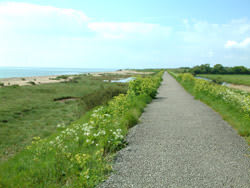 Cudmore Grove Country Park