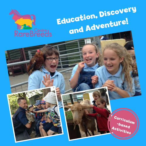 The Rare Breeds Centre