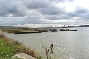 Rainham Marshes Reserve