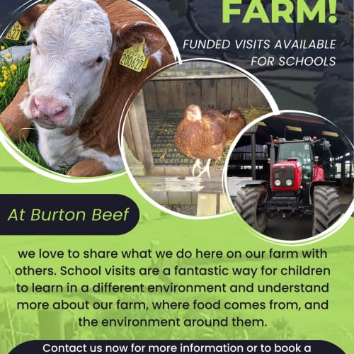 Burton Beef  @ Meadow View Farm