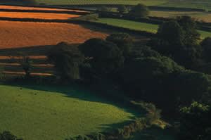 Home Farm (Exeter)