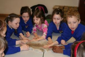 Wildwood Trust