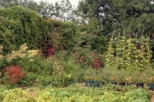 Redborne School Farm