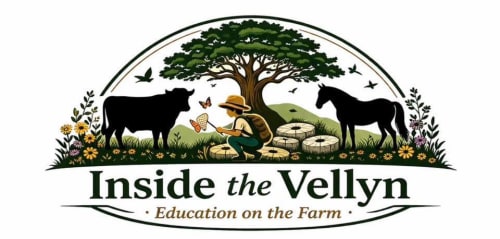 The Vellyn-Education on the farm