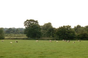 Farm and Country Visits