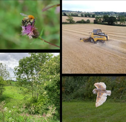 Manor Farm, Owston