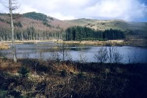 Bwlch Nant yr Arian Forest Visitor Centre