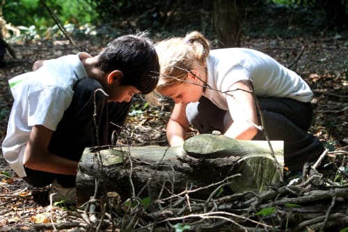 Sutton Courtenay Environmental Education Centre