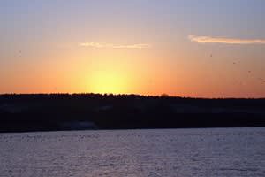 Foremark Reservoir
