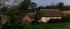 Blacklake Farm