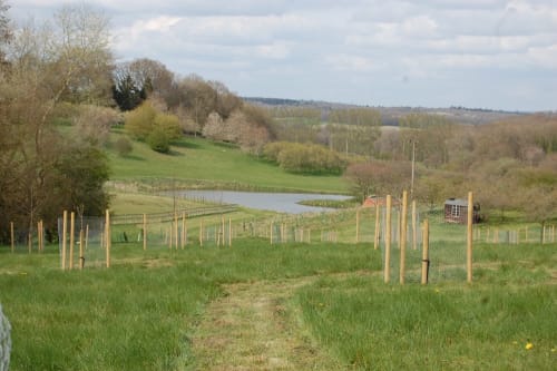 St Crispins Farm