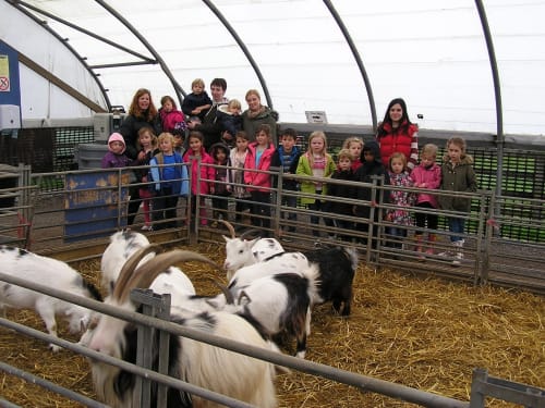Hall Hill Farm
