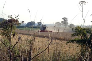 Midloe Grange Farm