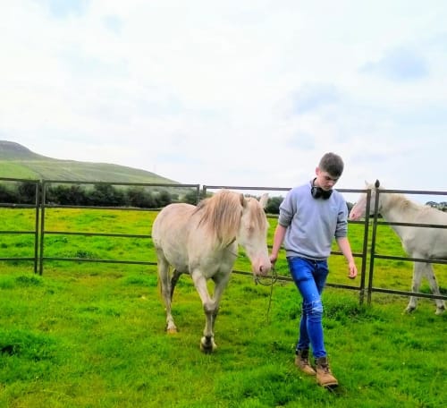 The Medicine Pony Tribe