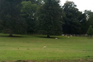 Chawton House
