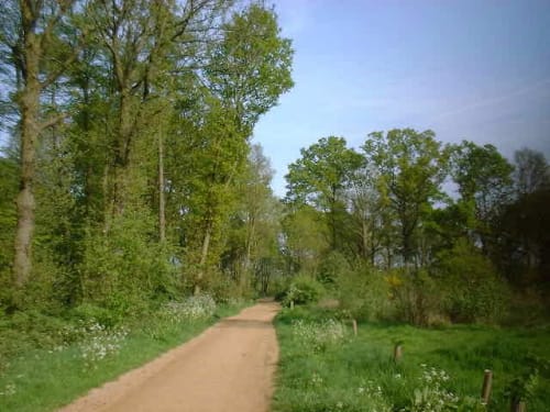 High Woods Country Park