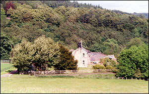 Wagtail Farm