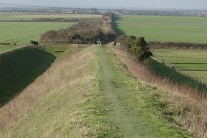 Ditch Farm