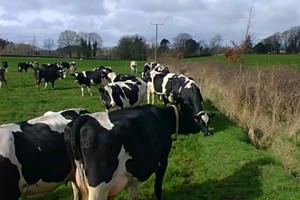 Greenmount College of Agriculture & Horticulture