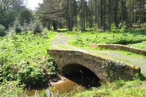 Howick Hall Gardens