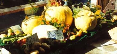 Meanwood Valley Urban Farm