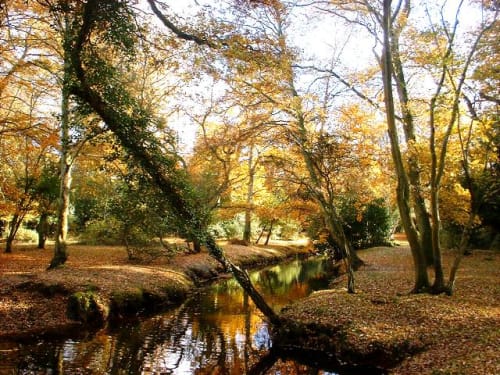 Coombes Valley