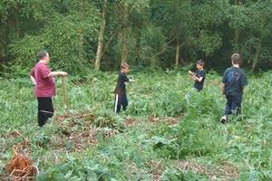 Snelsmore Common Country Park
