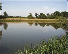 Coombe Country Park
