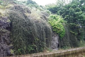 Dolygaer Outdoor Education Centre
