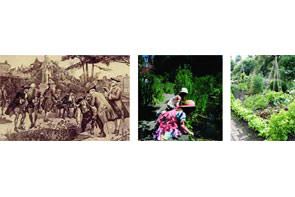 Chelsea Physic Garden