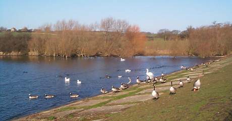 Abberton Reservoir Visitor Centre