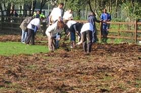 Hackney City Farm