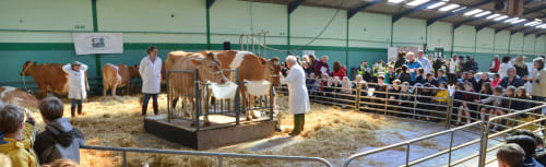 The Royal Bath & West of England Society
