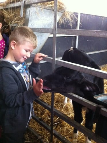 Plumpton College - Rural Education Centre